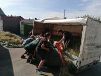 Vogelwiese Eisbaeren 2023